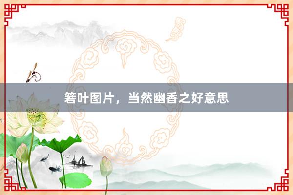箬叶图片，当然幽香之好意思